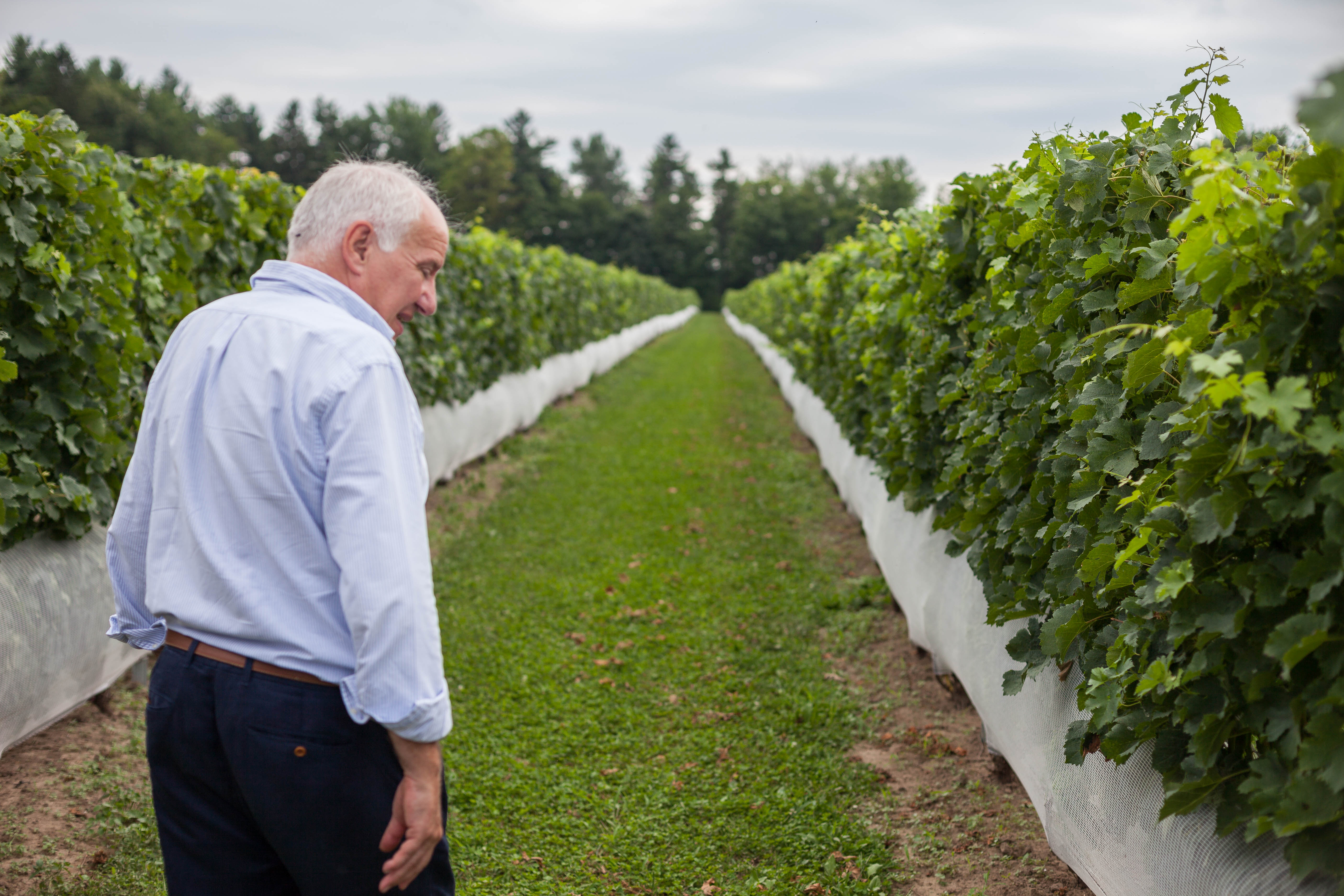 Philippe Druelle walking between the vines at Souffle de Vie